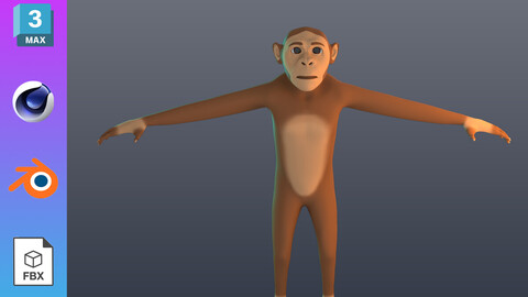 Stylized Monkey Model