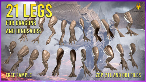 21 Legs and Feet for Dragons and Dinosaurs