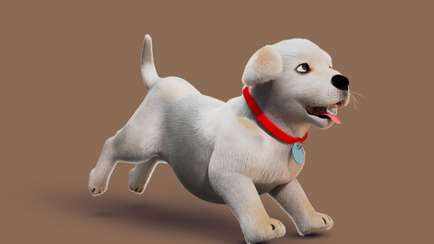 Cartoon Dog Rigged