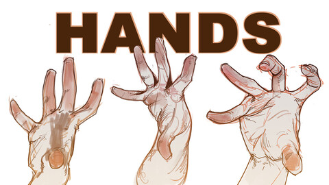 Hand Drawing Tutorial