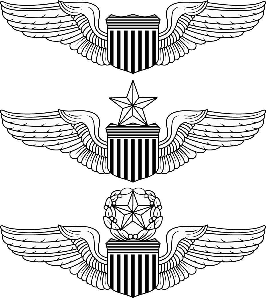 ArtStation - Air Force Pilot Wings Blank,outline vector,SVG Badge, DXF ...