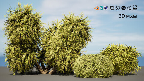 low poly Golden Mop bush