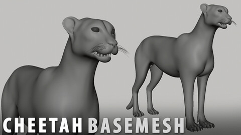 Cheetah Basemesh - Topology + UV Map