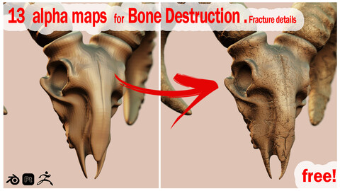 alpha maps(free) bone Destruction , fracture details