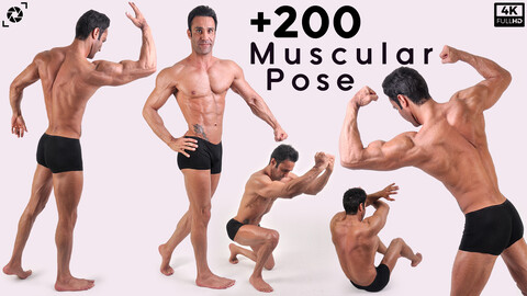 +200 Muscular Pose References Pictures - Vol 01