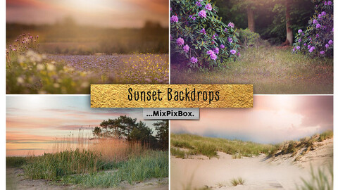 Sunset Backdrops