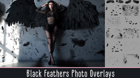 Black Feathers Overlays