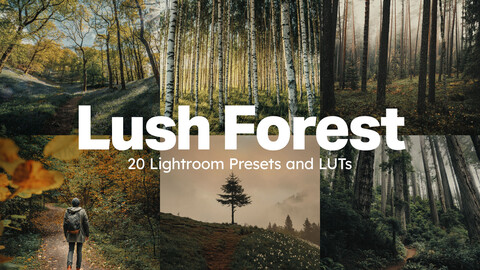 20 Lush Forest LUTs & Lightroom Presets