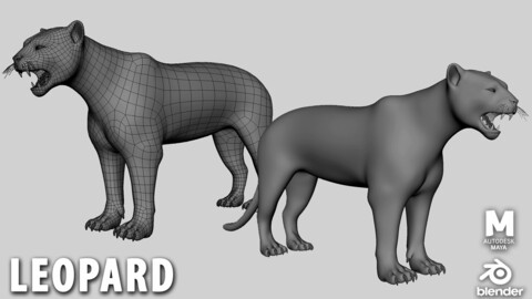 Leopard Basemesh - Topology + UV Map