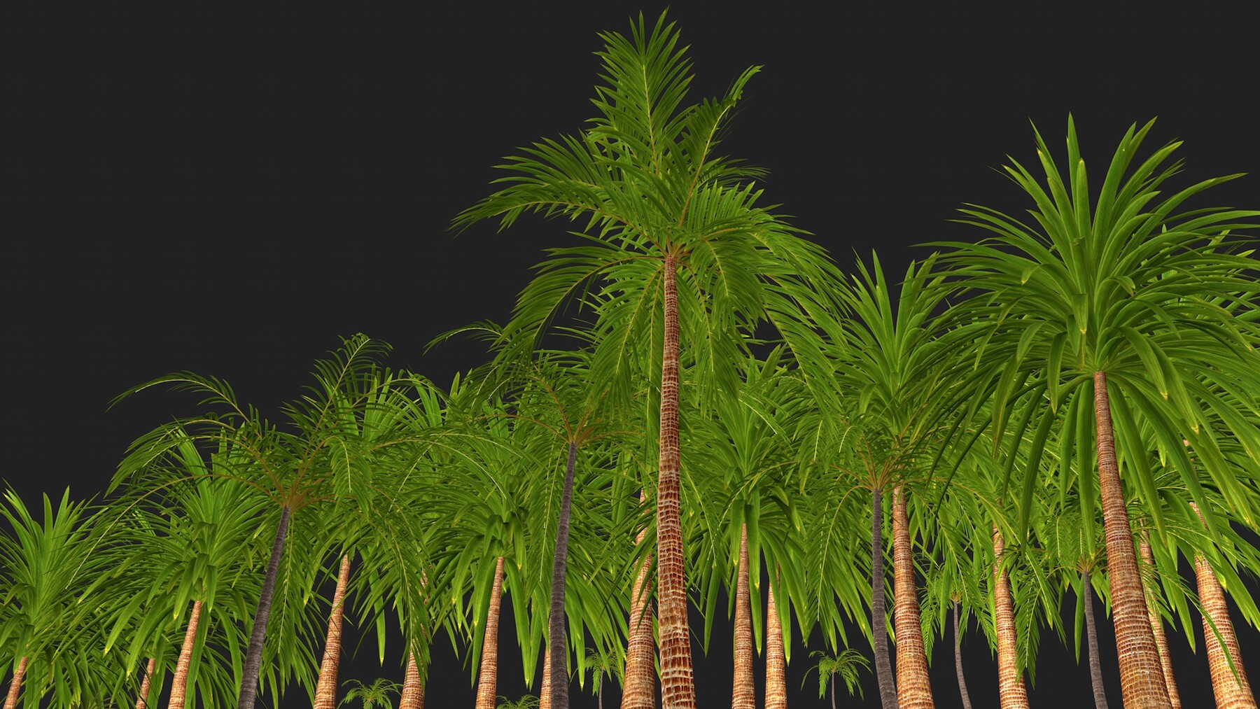 ArtStation - Four palmS trees subtropics with textures | Resources