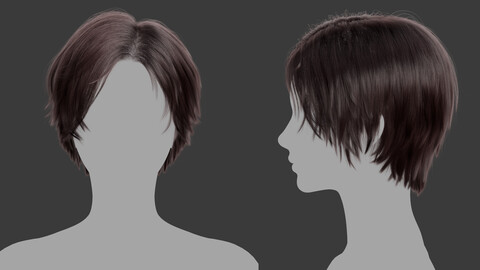 XGen-Hair_T