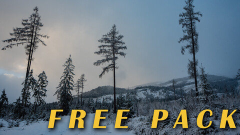 Winter forest free pack