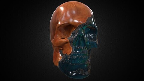 Skull - Sculpture