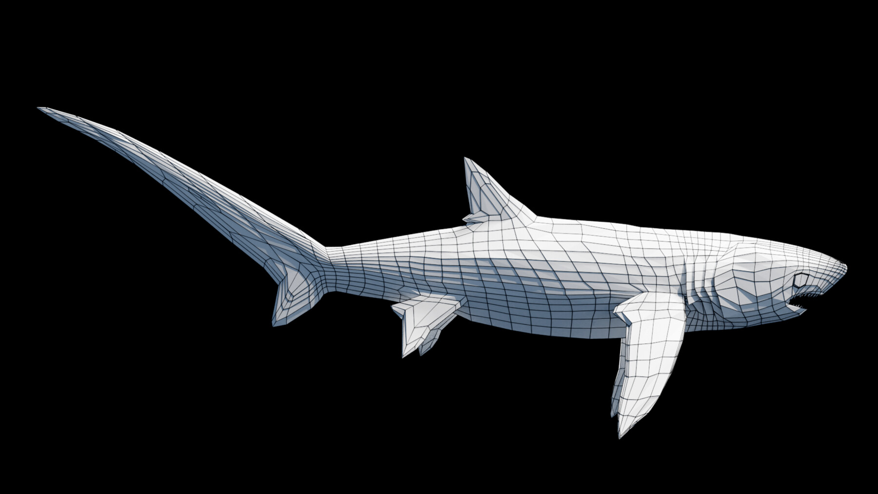 ArtStation - Animated Thresher Shark | Game Assets