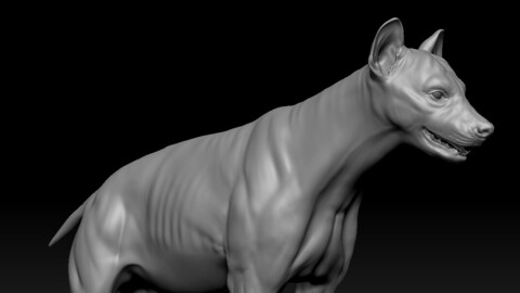 Hyena 3D Model + Uvs + Displacemente map + MidRes and HiRes