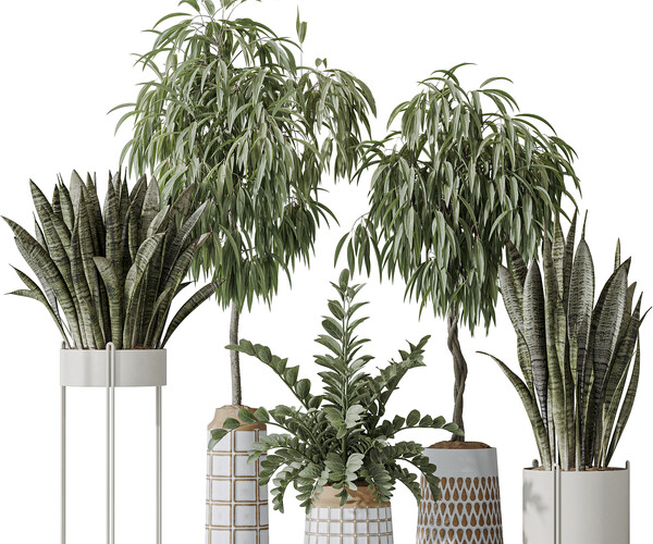 ArtStation - Indoor plant set 09 | Game Assets