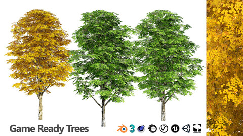Green and fall Grey Poplar trees With free tutorial