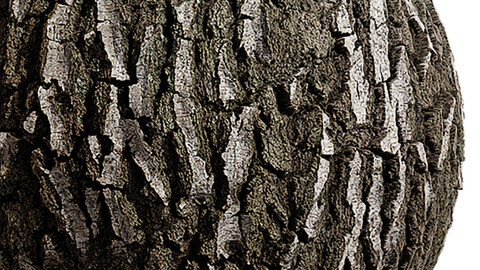 Bark Seamless Texture Patterns 2k (2048*2048) | EXR 5 | JPG 5 File Formats.