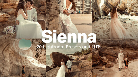 20 Sienna LUTs & Lightroom Presets