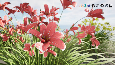 Happy Returns Daylily Color mix 3d flowers