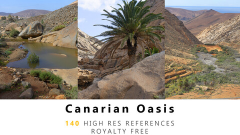 Canarian Oasis Texture PACK