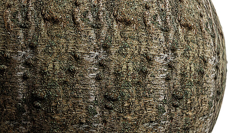 Bark Seamless Texture Patterns 2k (2048*2048) | EXR 5 | JPG 5 File Formats.