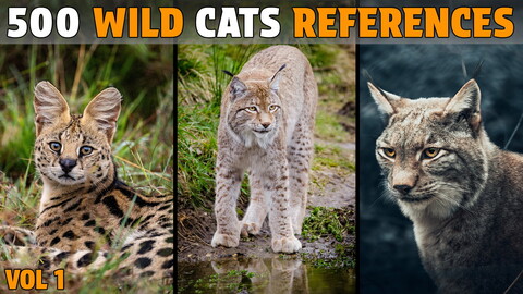 500 Wild Cat Photo Reference - Vol 1