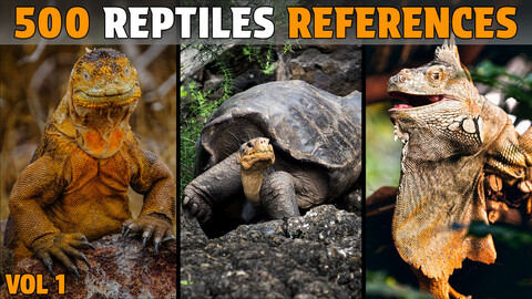 500 Reptiles Photo Reference - Vol 1