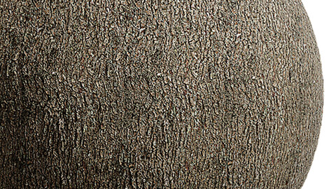 Bark Seamless Texture Patterns 2k (2048*2048) | EXR 5 | JPG 5 File Formats.