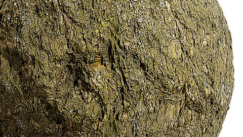 Bark Seamless Texture Patterns 2k (2048*2048) | EXR 5 | JPG 5 File Formats.