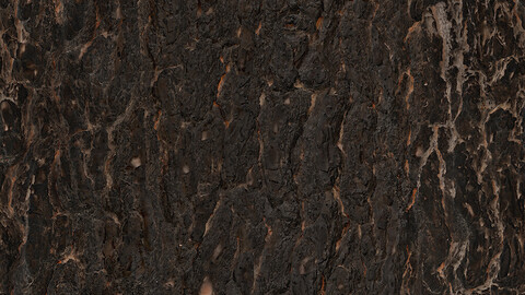 Bark Seamless Texture Patterns 2k (2048*2048) | EXR 5 | JPG 5 File Formats All Texture Apply After Object Look Like A 3D