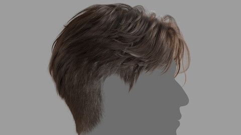 Male Hairstyle XGen maya scene(+fbx, alembic)