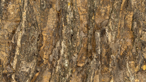 Bark Seamless Texture Patterns 2k (2048*2048) | EXR 5 | JPG 5 File Formats All Texture Apply After Object Look Like A 3D