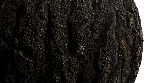 Bark Seamless Texture Patterns 2k (2048*2048) | EXR 5 | JPG 5 File Formats.