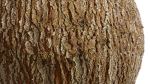 Bark Seamless Texture Patterns 2k (2048*2048) | EXR 5 | JPG 5 File Formats.