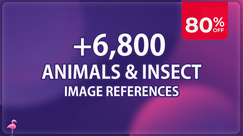 6,800 Animals and Insects |MEGA PACK| 80% OFF