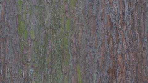 Bark Seamless Texture 2k (2048*2048) | EXR 5 | JPG 5 File Formats All Texture Apply After Object Look Like A 3D. (1K preview image)