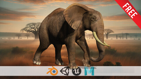 Elephant free Elegance Safari Free low-poly 3D model
