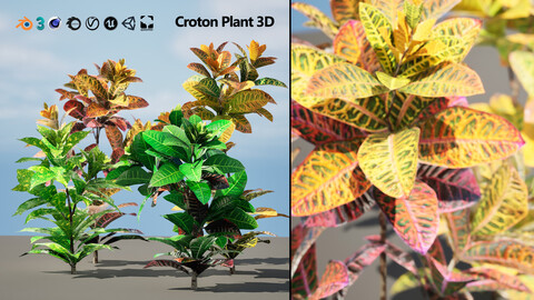 Game-Ready Croton plants with Free Tutorial