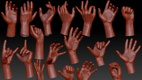 16 Posed Male Hand Scans