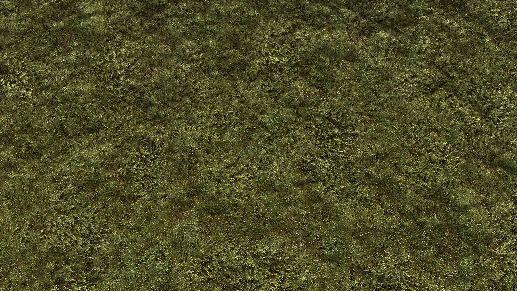 ArtStation - Customizable Moss - 100% Substance Designer | Game Assets