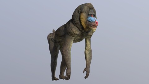 Mandrill