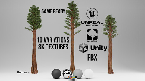 Giant Sequoia / Redwood Tree Pack (Game Ready) 8K