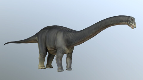 Apatosaurus