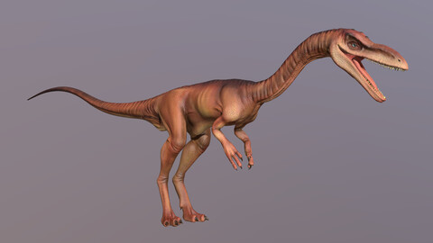 Coelophysis