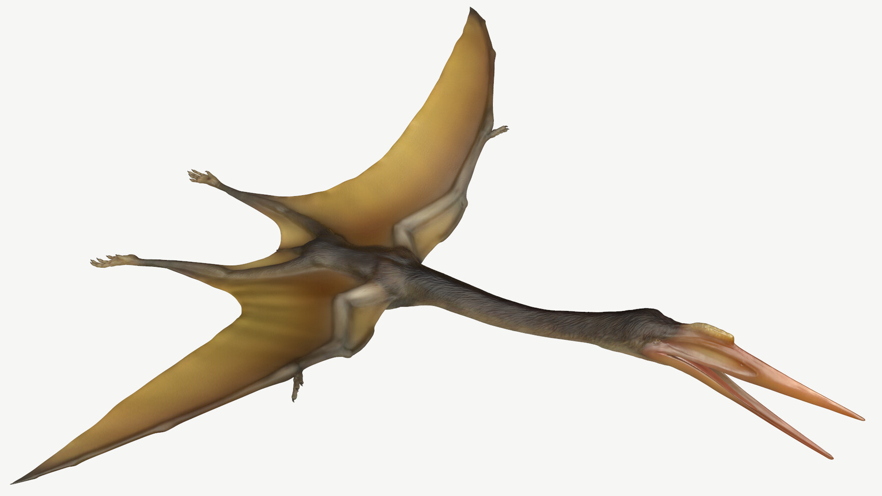 ArtStation - Quetzalcoatlus | Game Assets