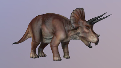 Triceratops