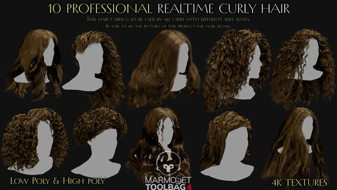 10 Professional Realtime Curly Hair
