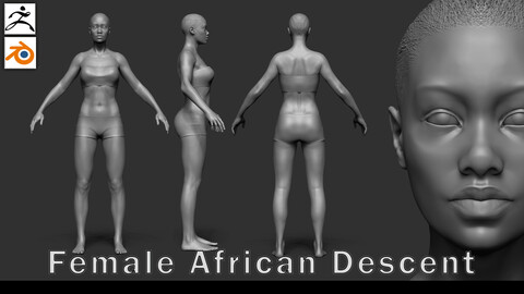 Female Anatomy Base Sculpt | Characters of Color Series | African Descent