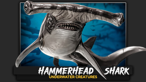 Hammerhead Shark - Ocean Realistic Predator 3D Model - Rigged Animated Monster - Underwater Creature - #29